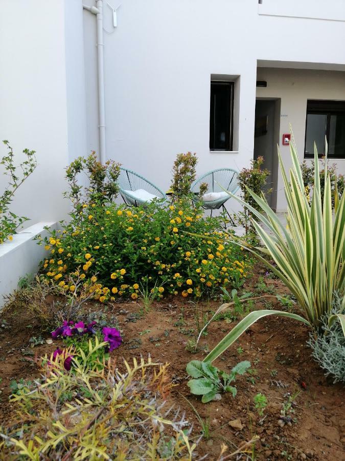 Carisa Maleme Hotel Kültér fotó